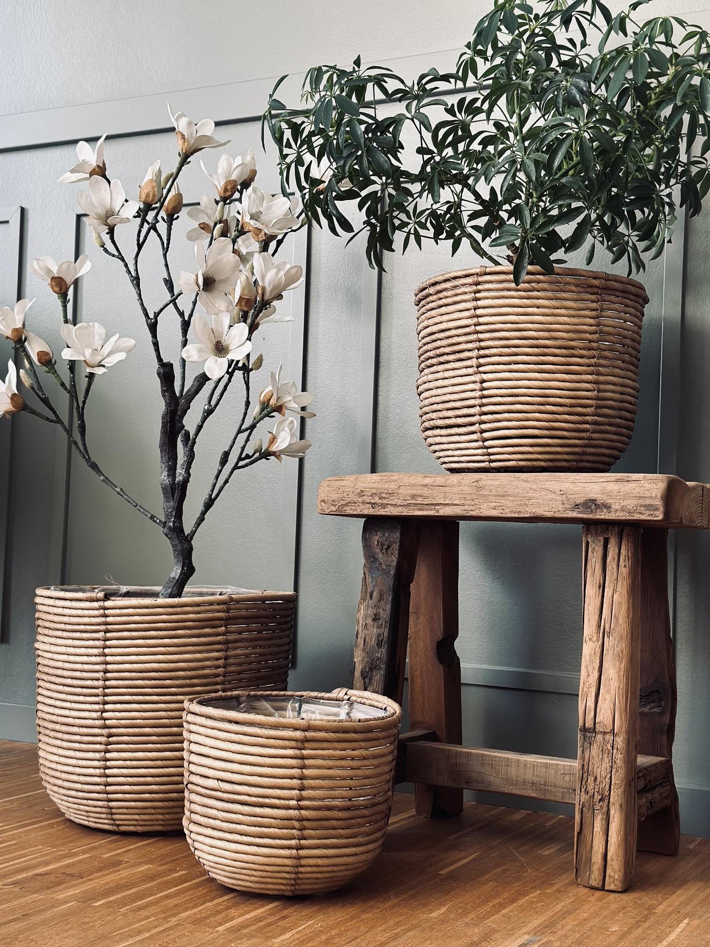 Plantekurve RATTAN – Sæt med 3 størrelser - VIAMAJA.DK