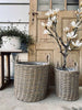 Plantkorgar set med 3 st Brun