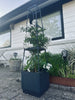 Planttorn för tomater och klätterväxter