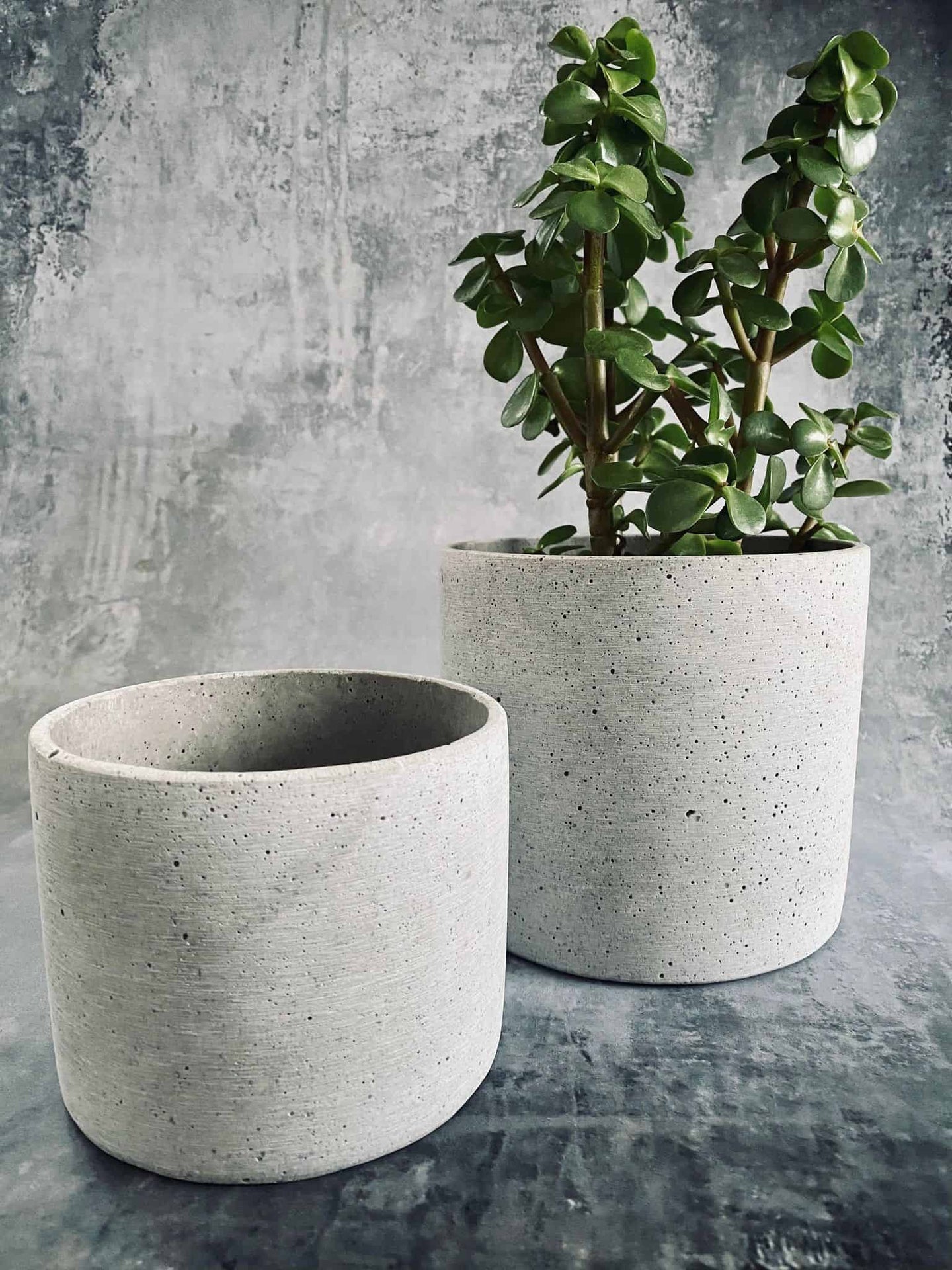 Potte i lysgrå beton NORDIC - Lille-potte - VIAMAJA.DK