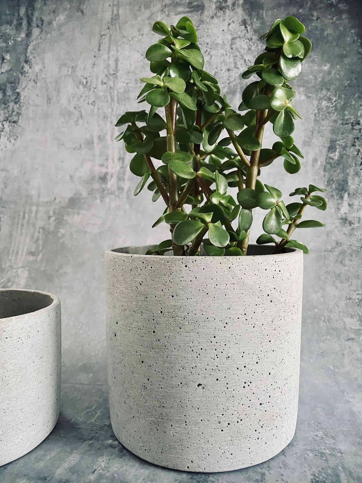 Potte i lysgrå beton NORDIC – Stor - VIAMAJA.DK