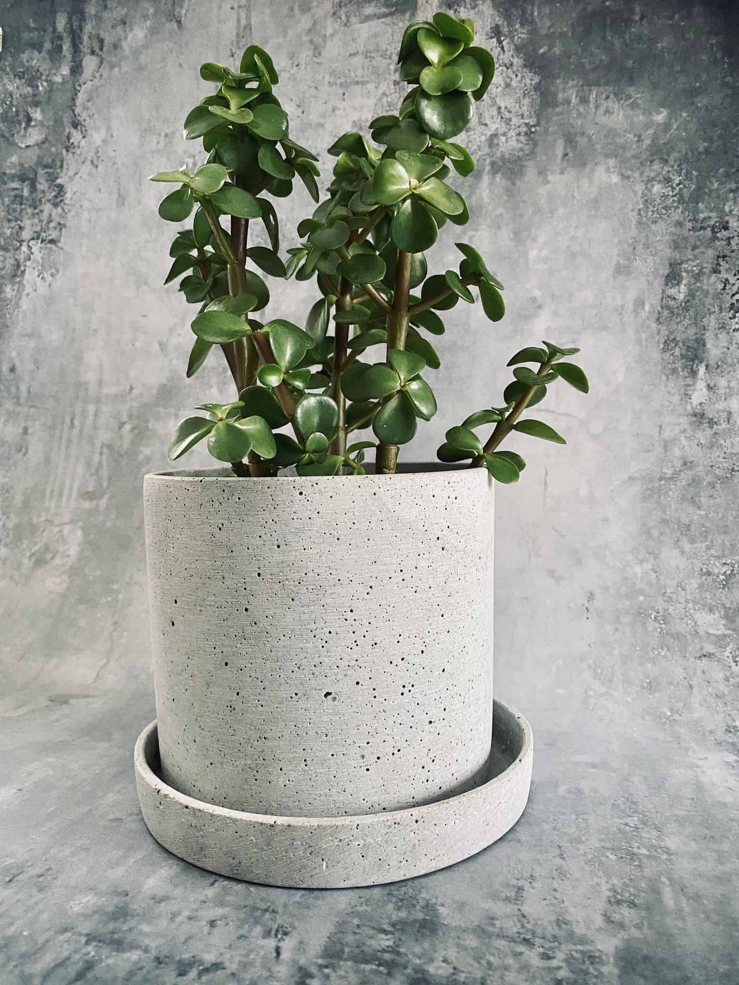 Potte i lysgrå beton NORDIC – Stor - VIAMAJA.DK