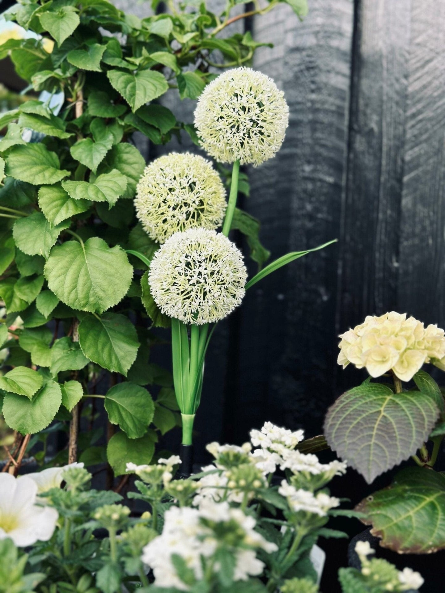 Prydløg med solceller - VIAMAJA.DK