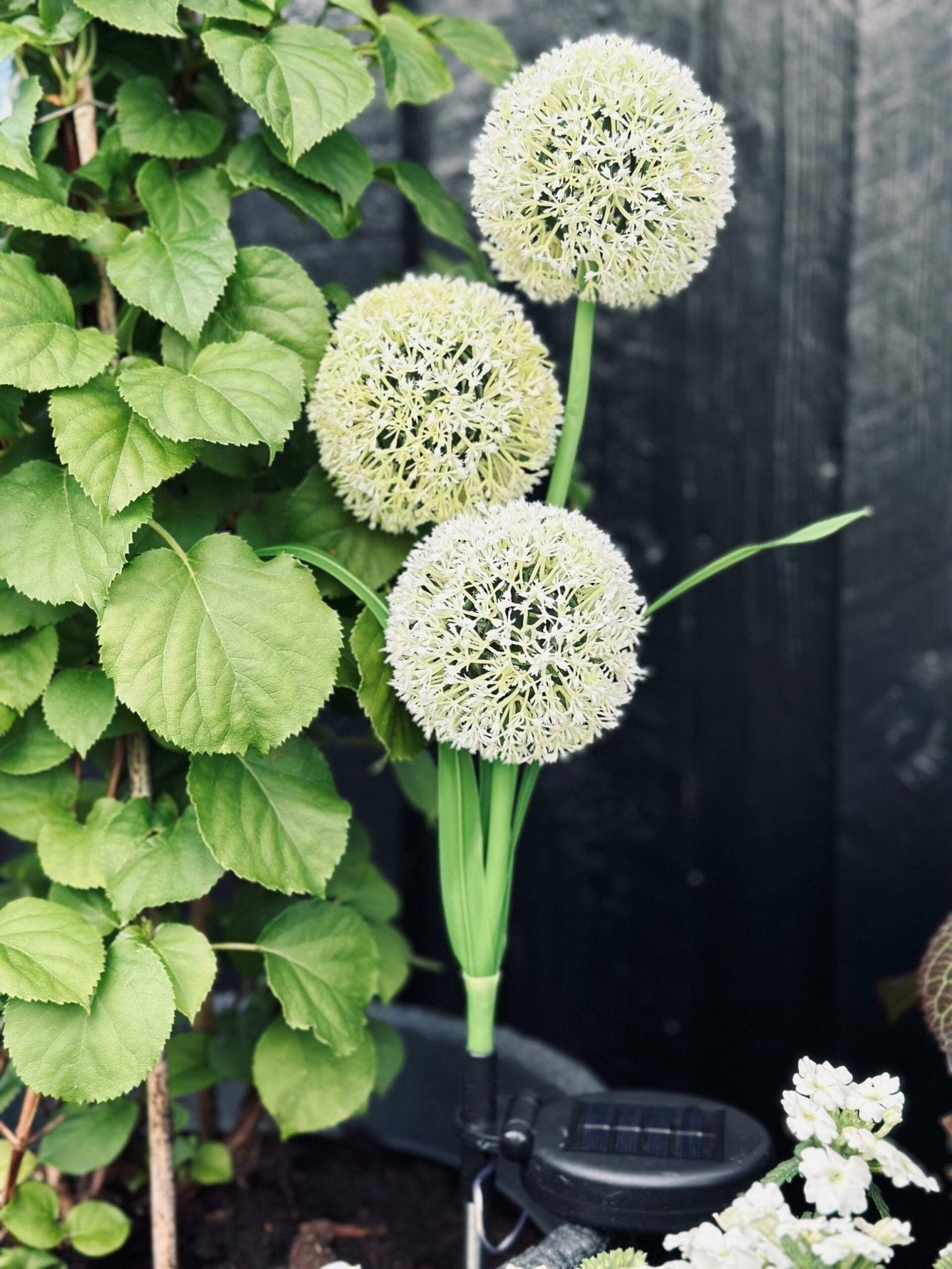 Prydløg med solceller - VIAMAJA.DK