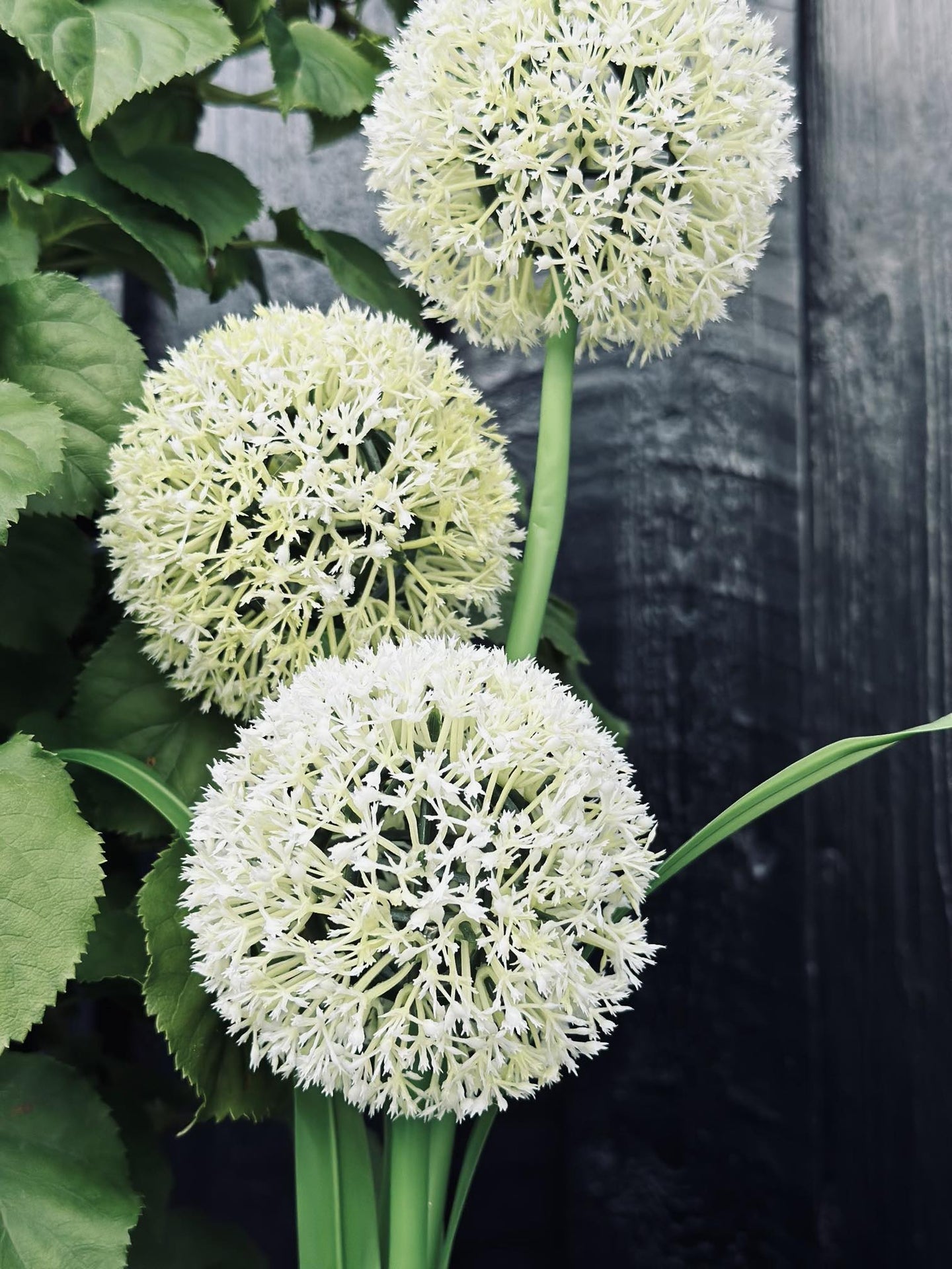 Prydløg med solceller - VIAMAJA.DK