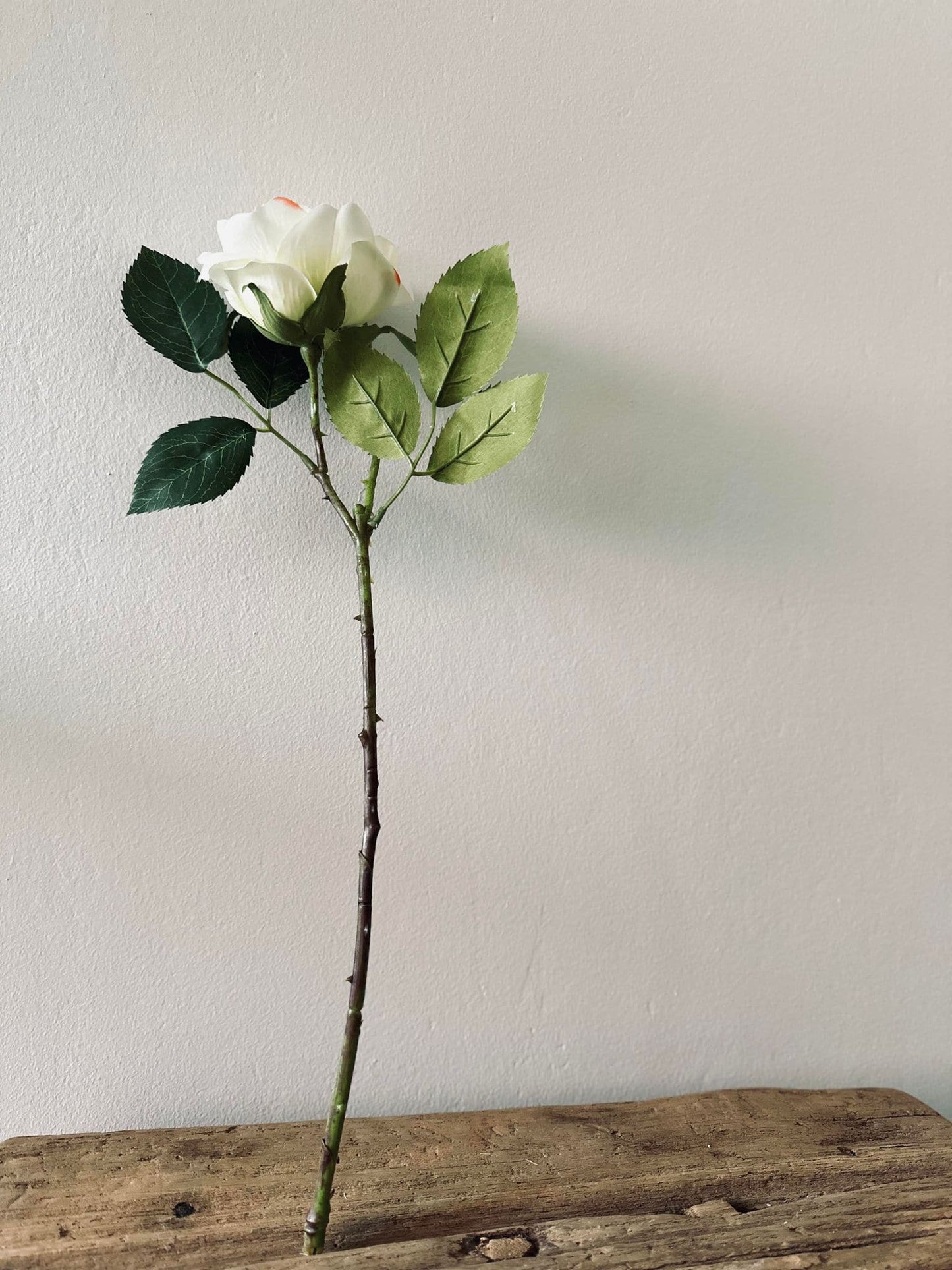 Rose 45cm – Hvid - VIAMAJA.DK