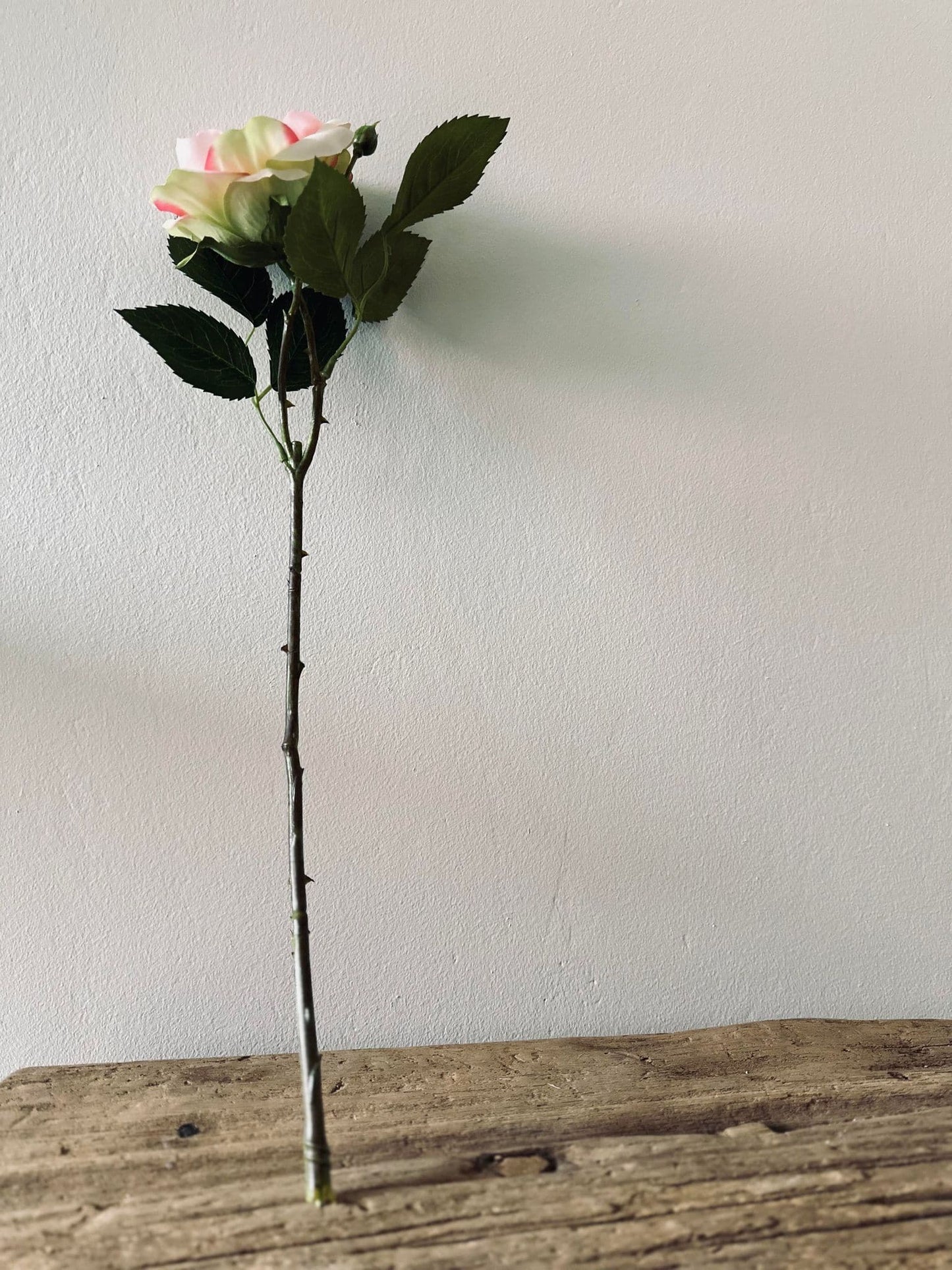 Rose 45cm – Pink - VIAMAJA.DK