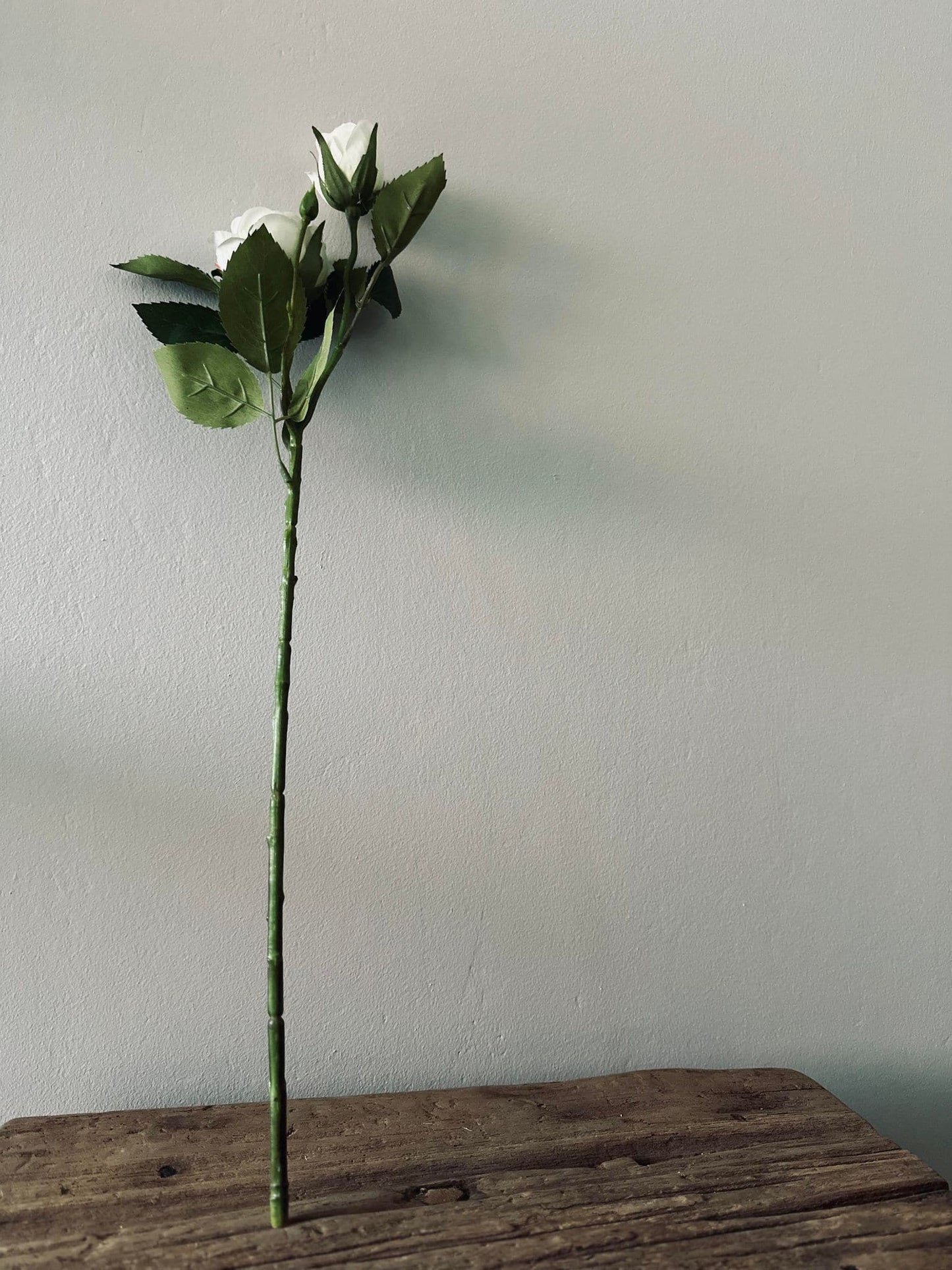 Rose 54cm – Hvid - VIAMAJA.DK