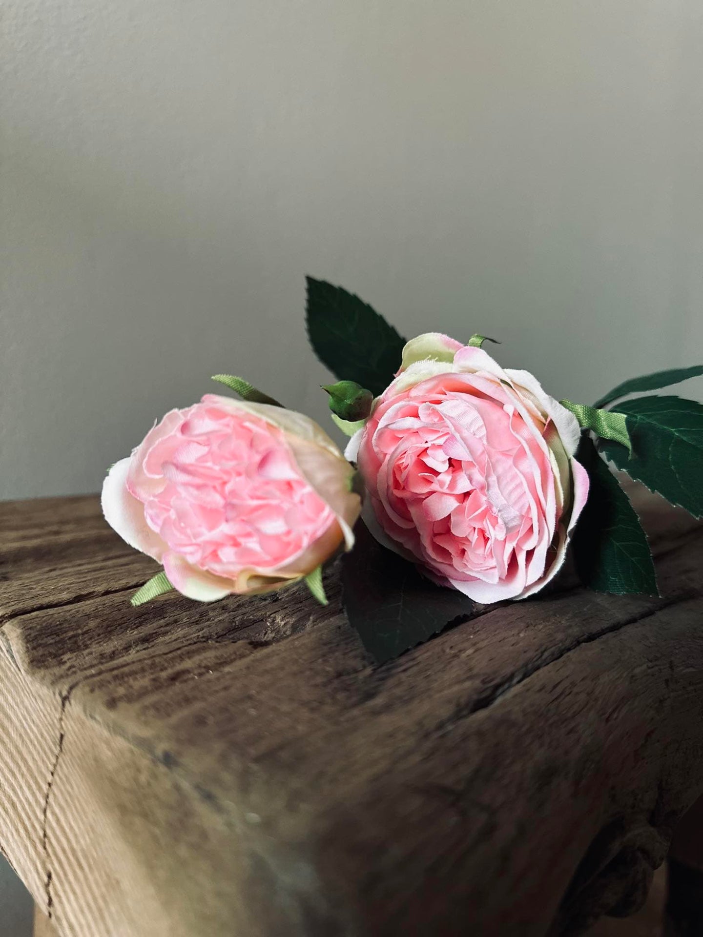 Rose 54cm – Pink - VIAMAJA.DK