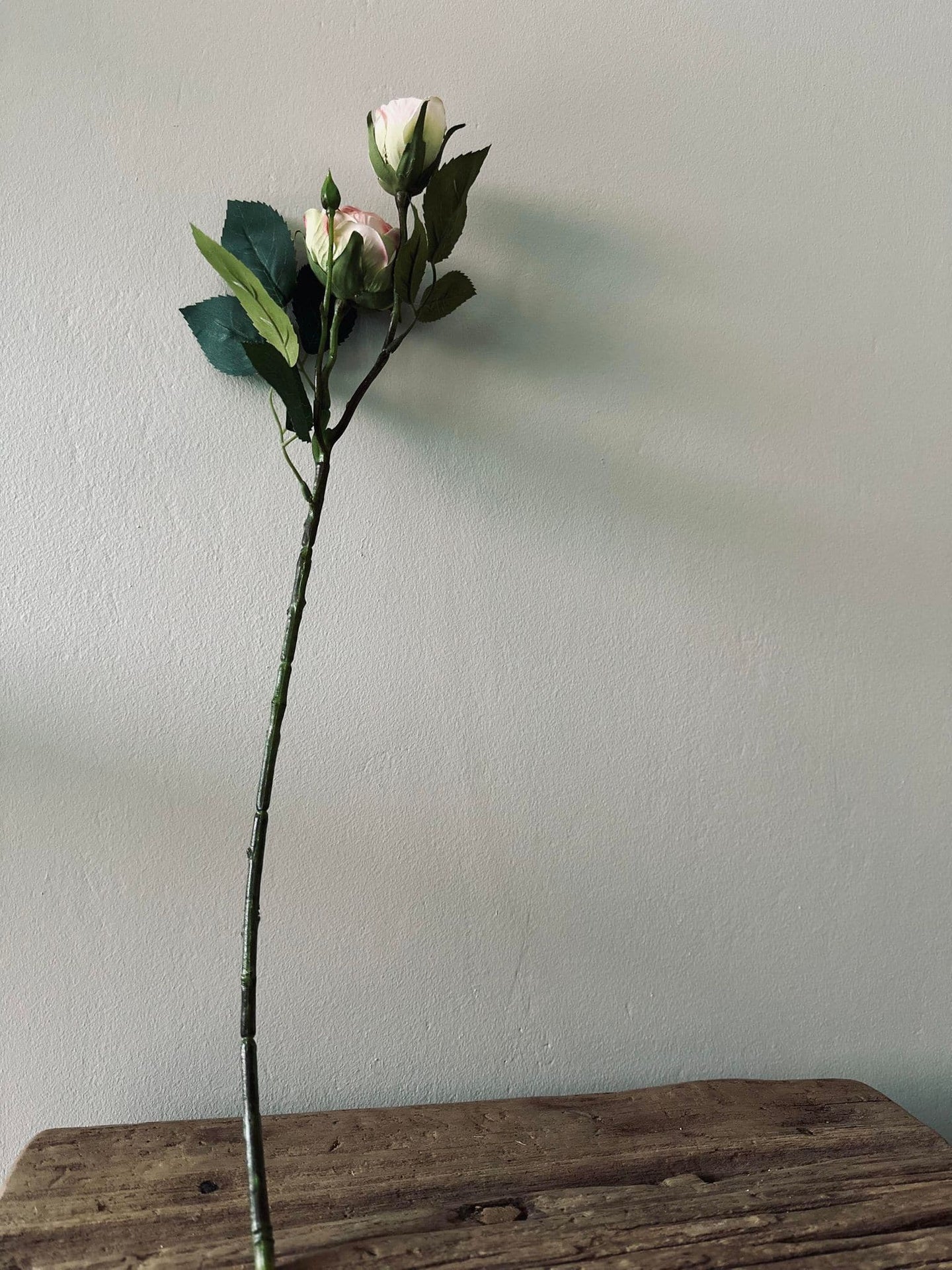 Rose 54cm – Pink - VIAMAJA.DK