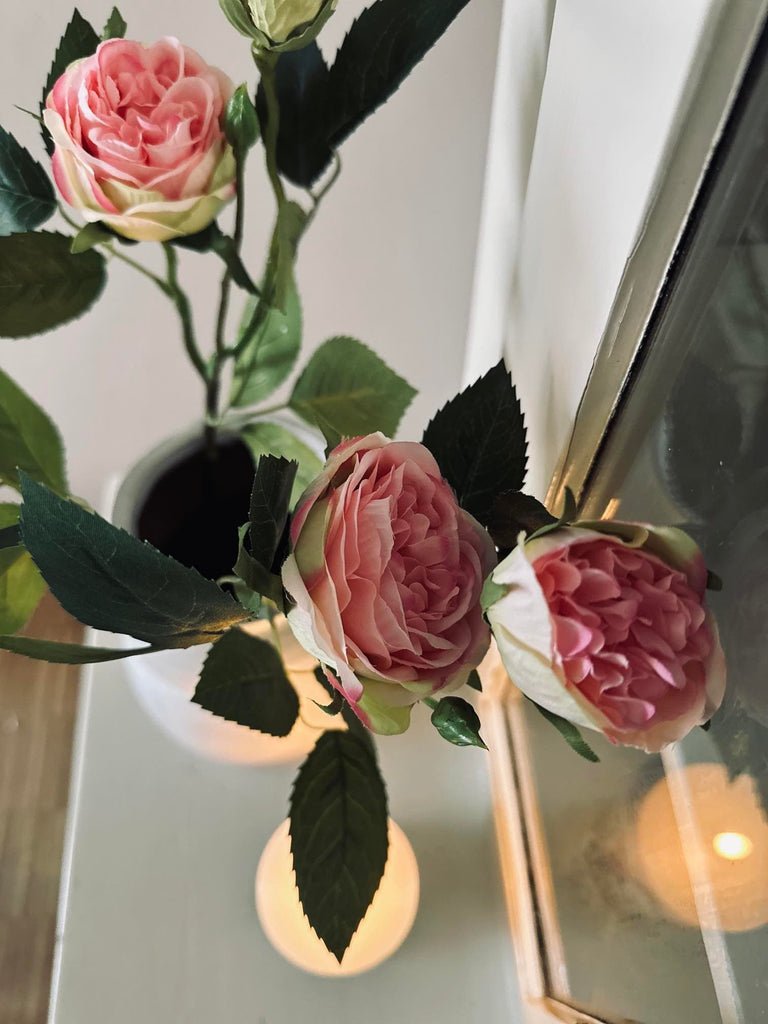 Rose 54cm – Pink - VIAMAJA