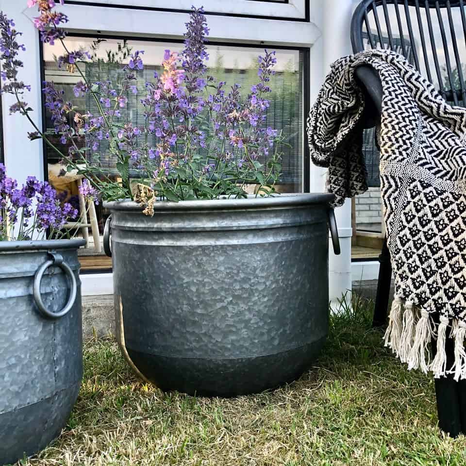 Rustik blomsterbalje i zink – Mellem - VIAMAJA