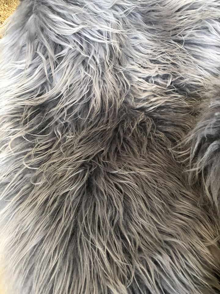 Silver Grey , Islandsk lammeskind  - VIAMAJA