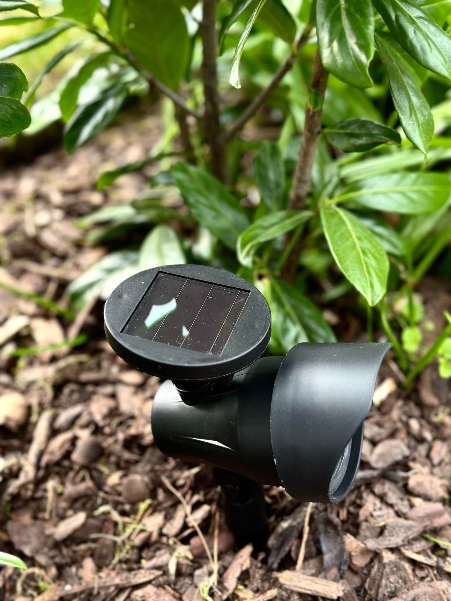 Solcelle lampe med jordspyd - Justerbar - VIAMAJA.DK