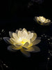 Solcell LOTUS - Set med 2 st