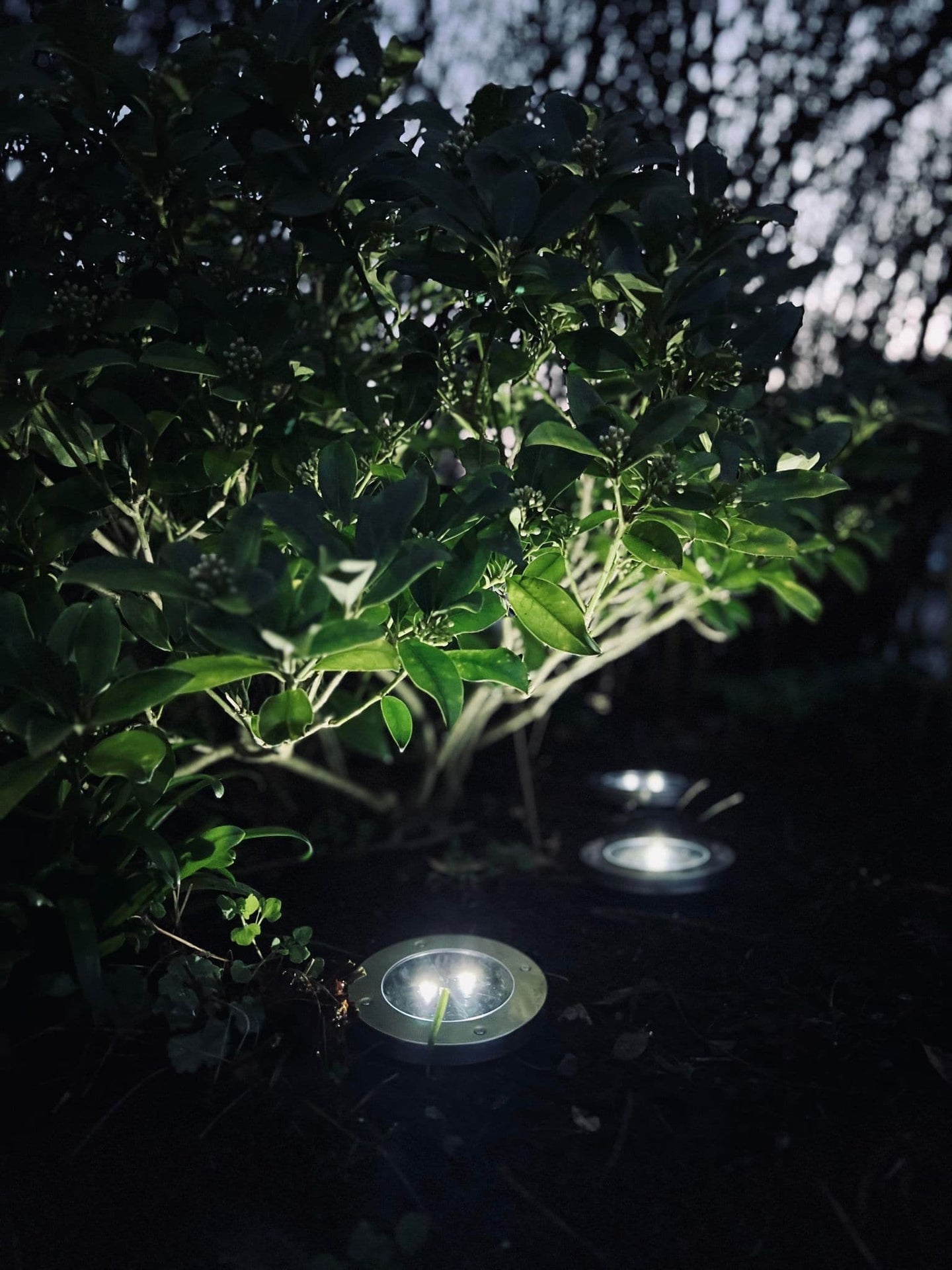 Solcelle spots tilbud - 4 stk - VIAMAJA.DK