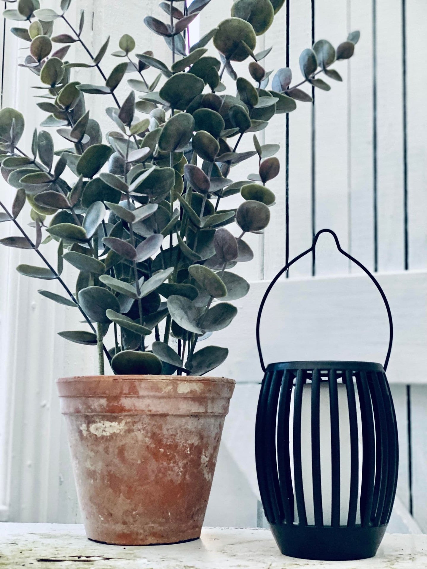 Solcelle TILBUD 2 stk : 3 i 1 model - Fakkel og lanterne - VIAMAJA.DK