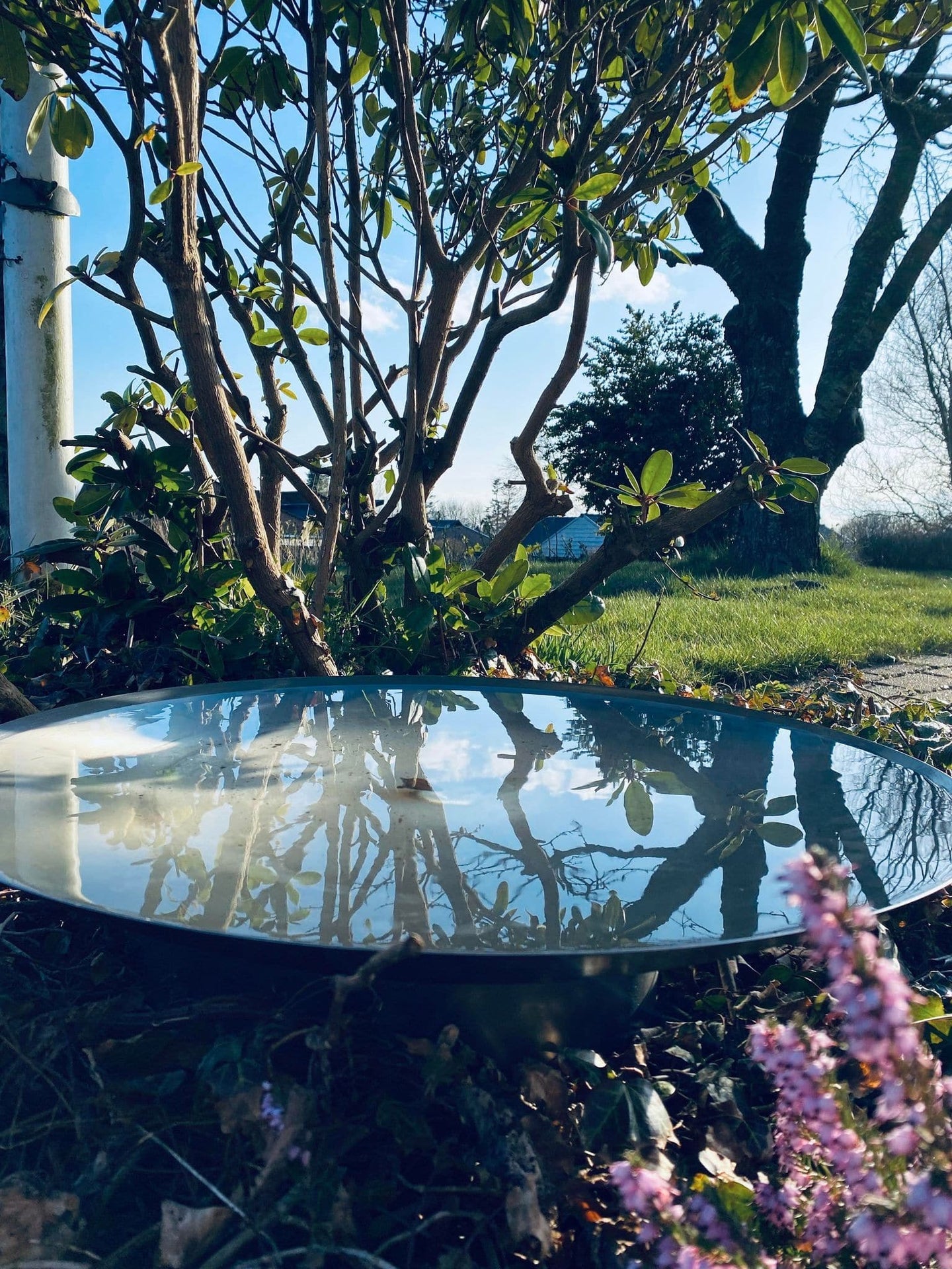 Spejlbassin - Dia 60 corten Rust - VIAMAJA.DK