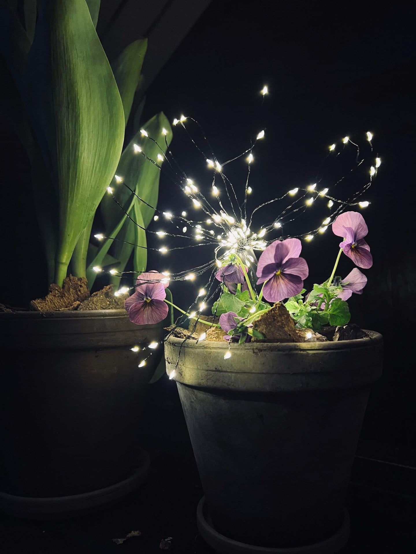 Stjernekaster med 120 led lys - timerfunktion - VIAMAJA.DK