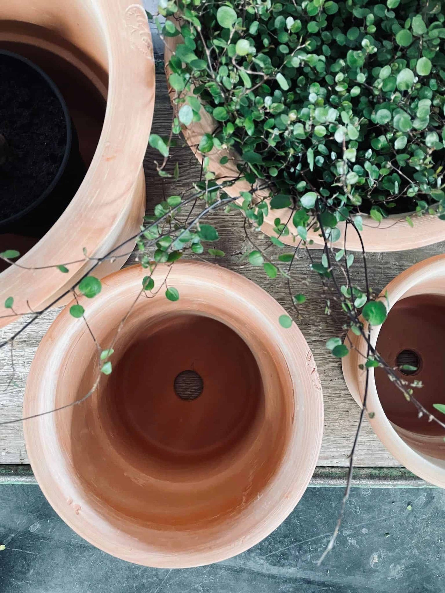 Terracotta sæt af 4 potter - AFHENTER TILBUD - VIAMAJA.DK