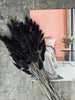Torkade blommor – Black