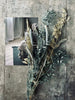 Torkade blommor – Blue mix