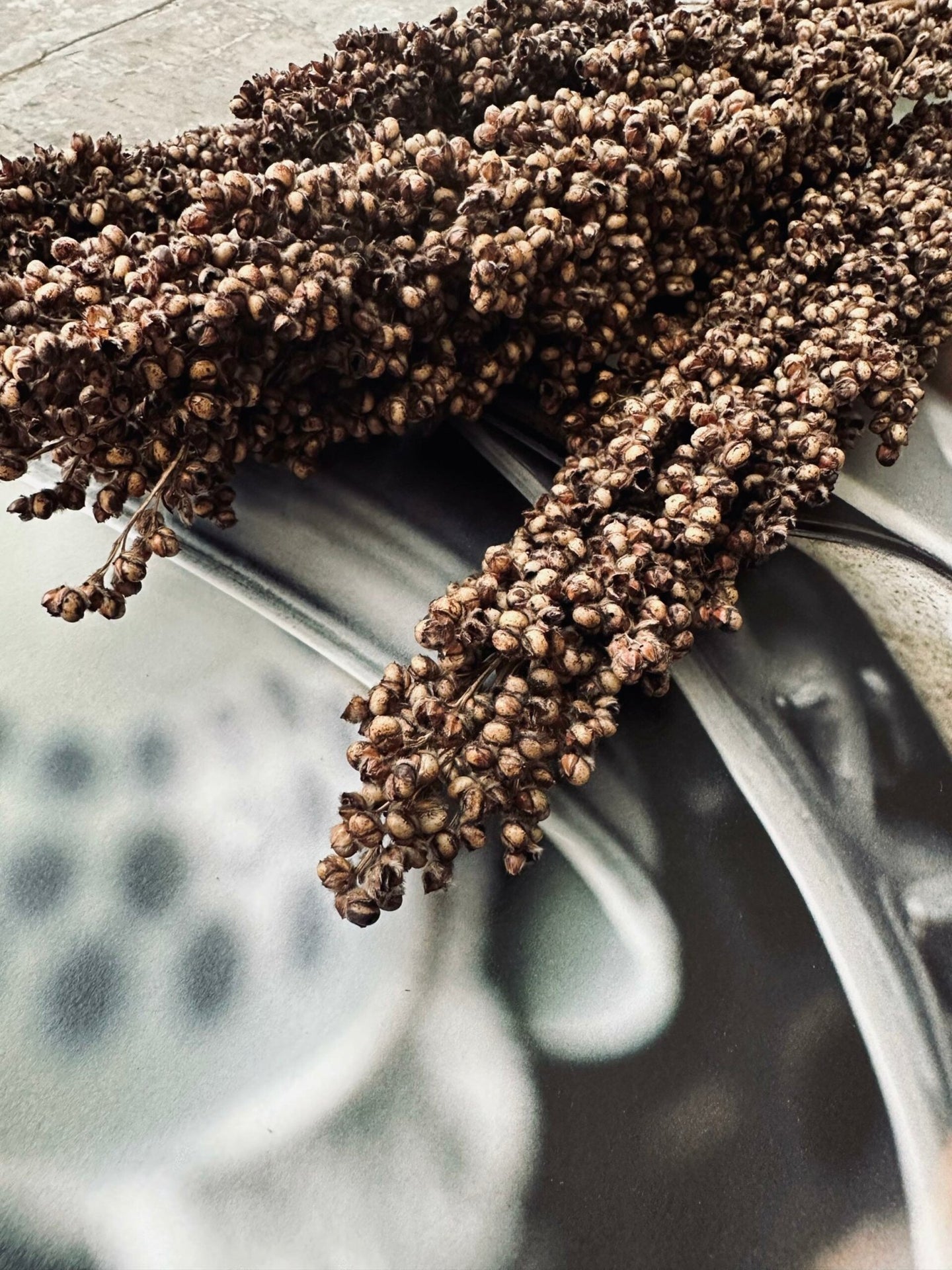 Tørret blomster – Brown - VIAMAJA.DK