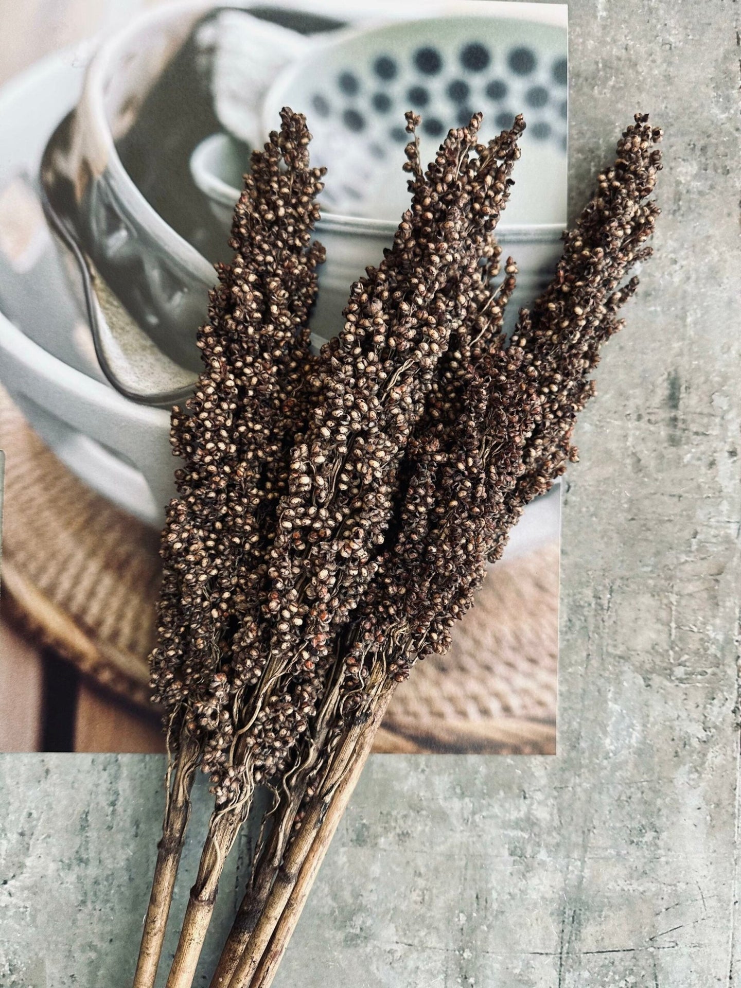 Tørret blomster – Brown - VIAMAJA.DK