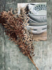 Torkade blommor – Brown ROSSA