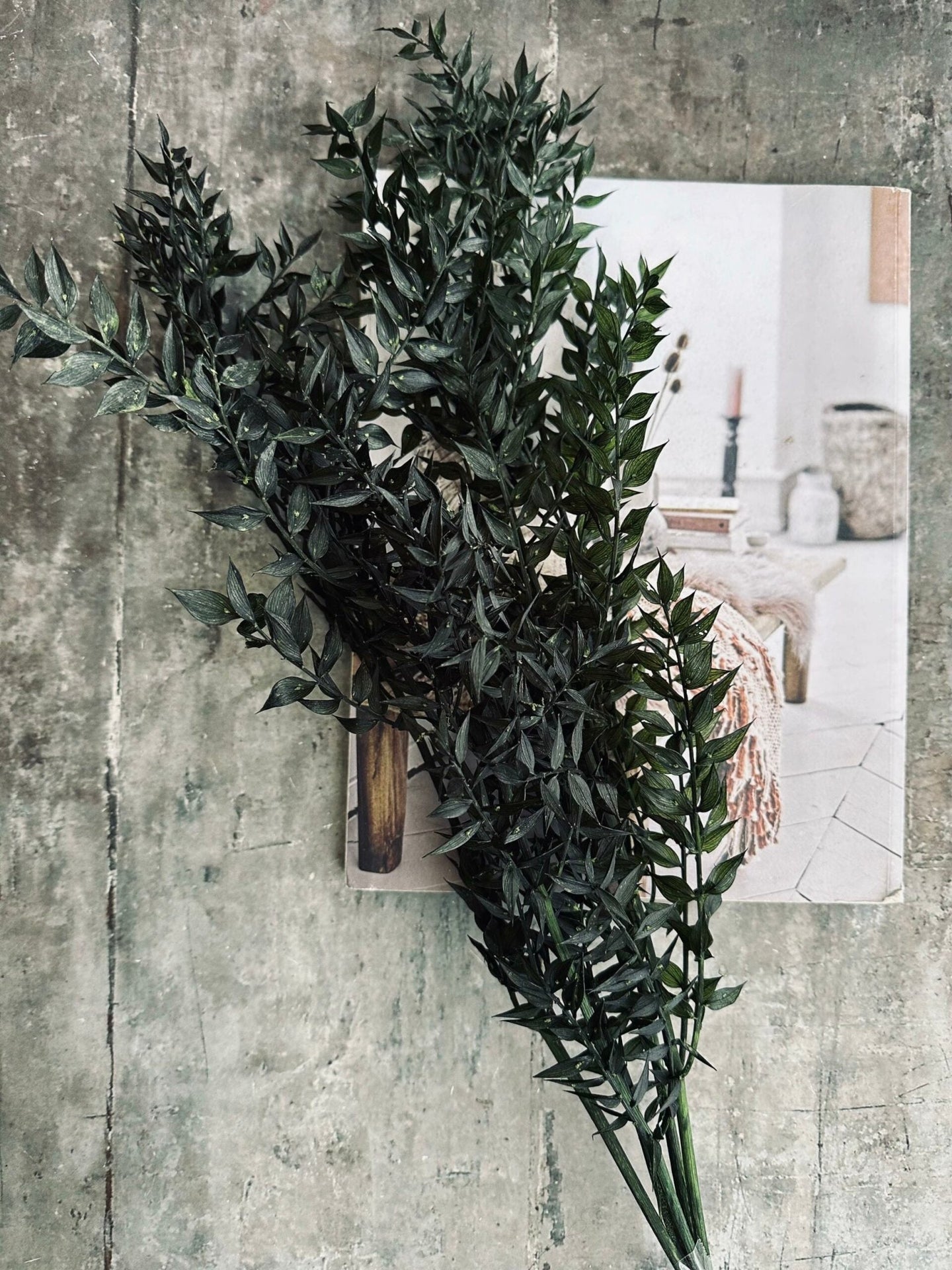 Tørret blomster – Dark green ROSSA - VIAMAJA.DK