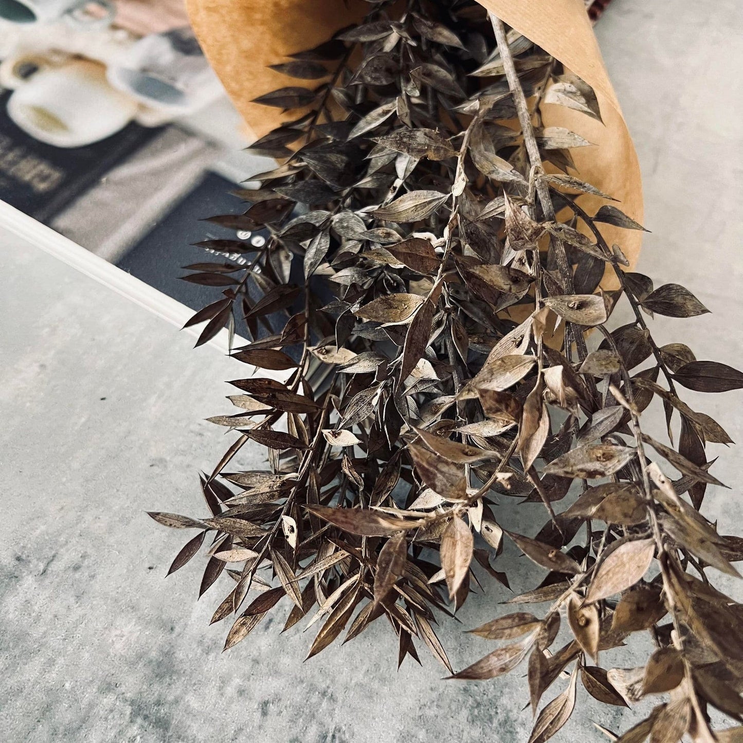 Tørret blomster - Mocca ROSSA - VIAMAJA.DK
