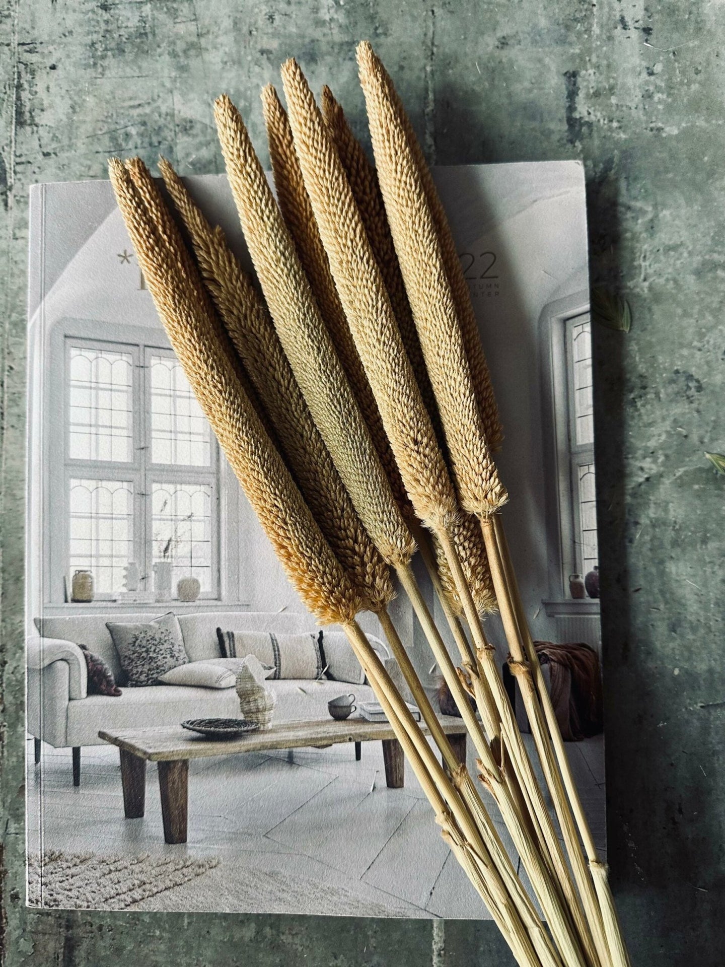 Tørret blomster – Natur - VIAMAJA.DK