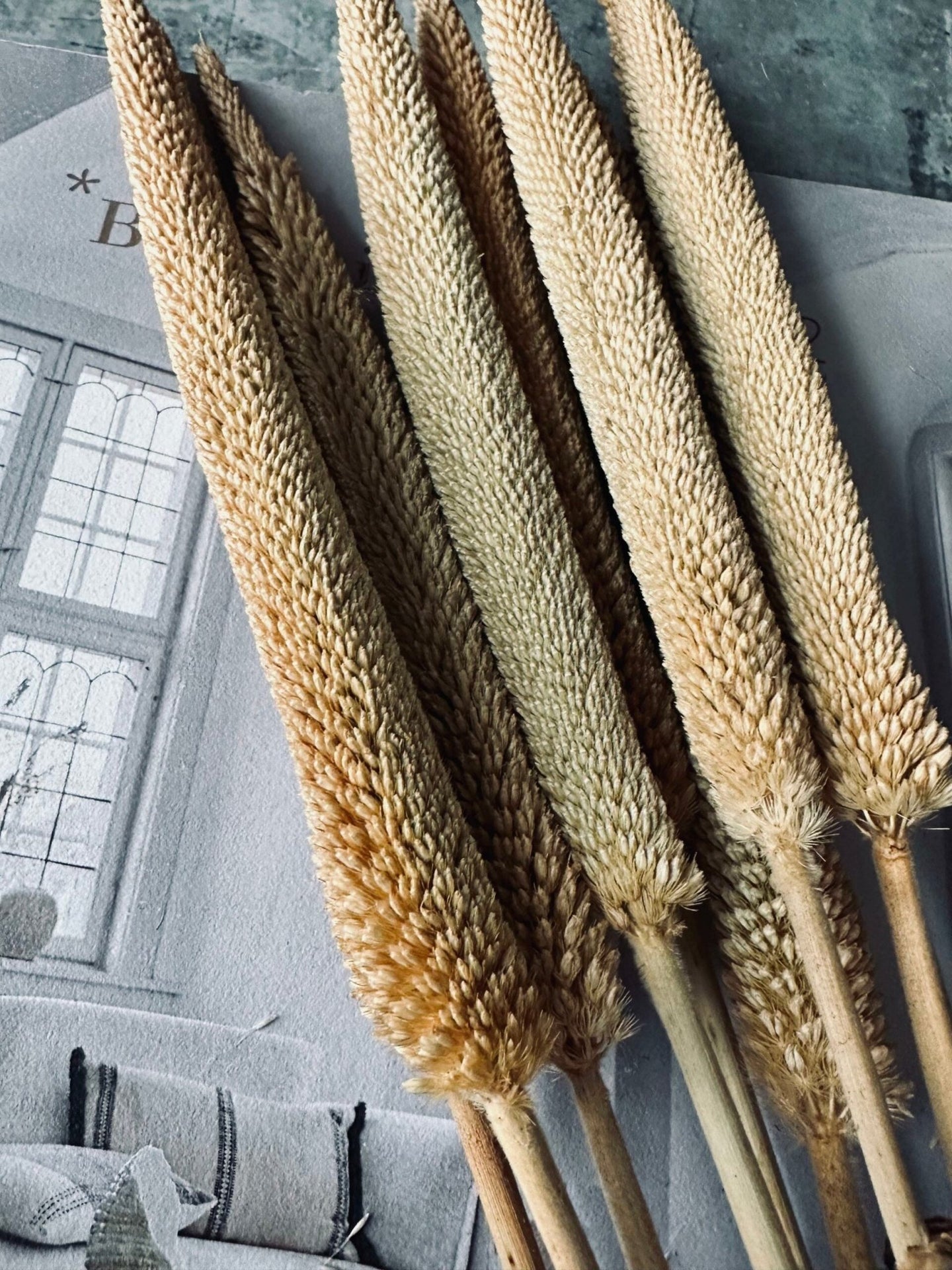 Tørret blomster – Natur - VIAMAJA.DK