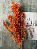 Torkade blommor – Orange