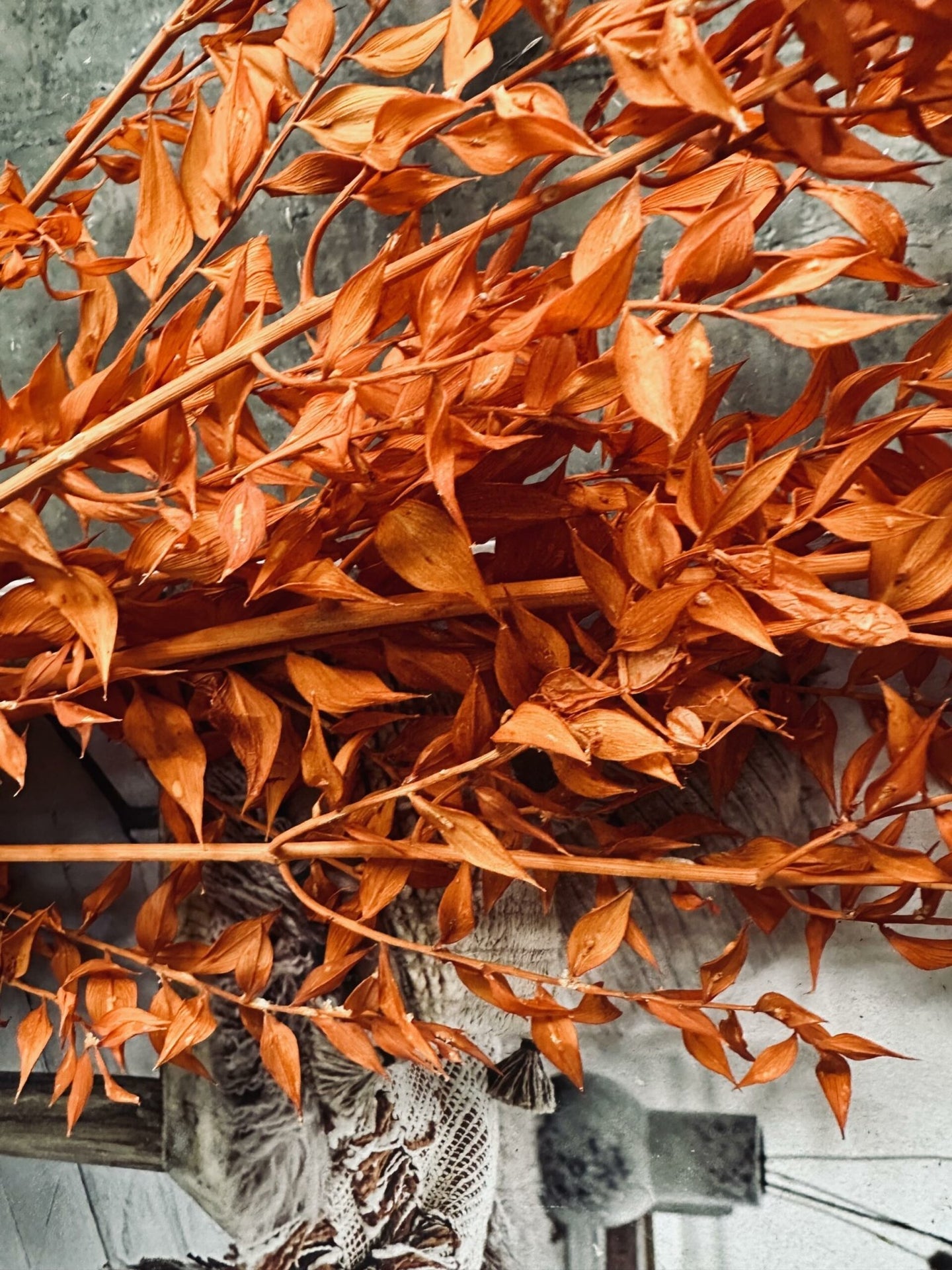 Tørret blomster – Orange - VIAMAJA.DK