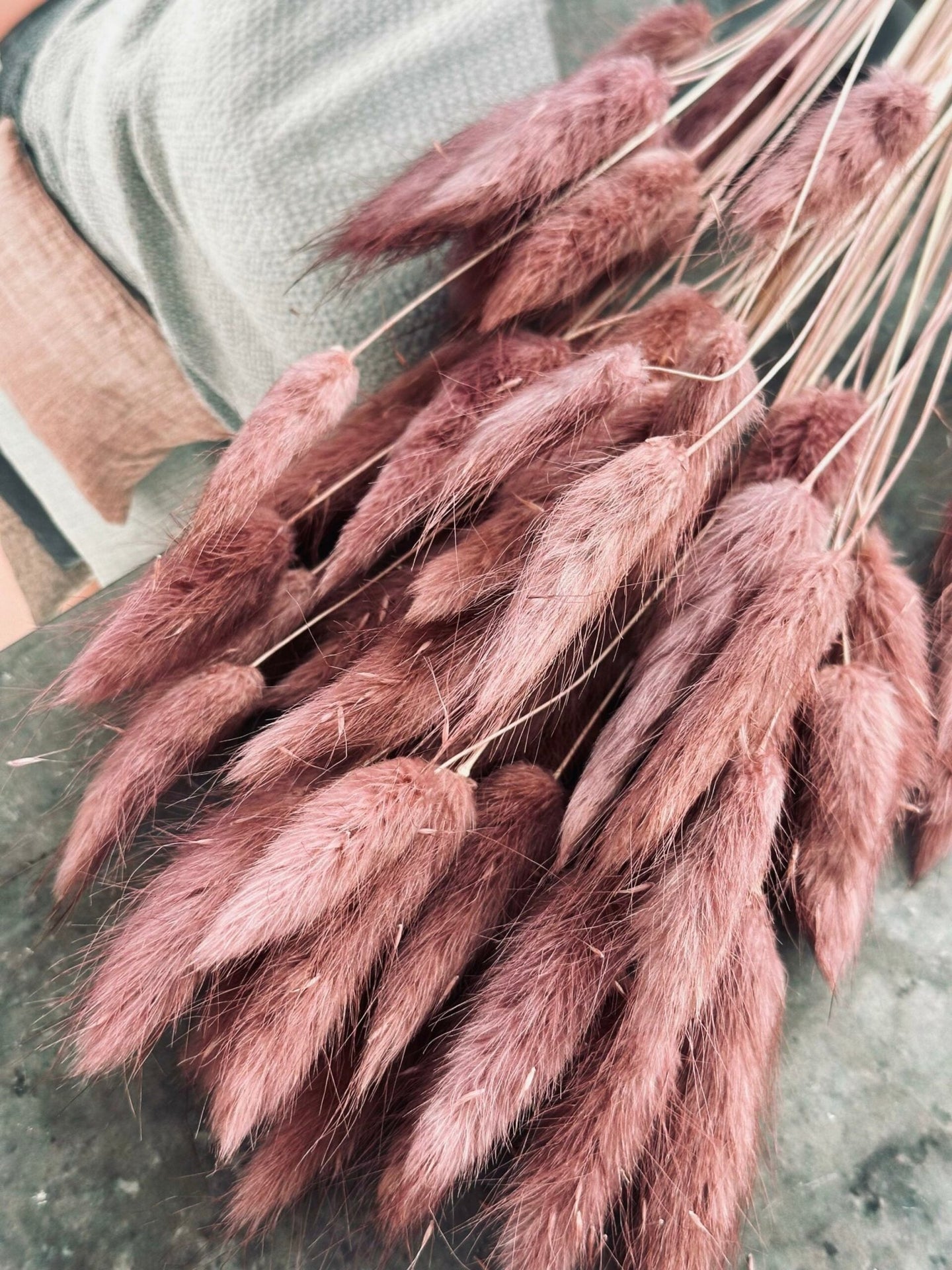 Tørret blomster – Rose - VIAMAJA.DK