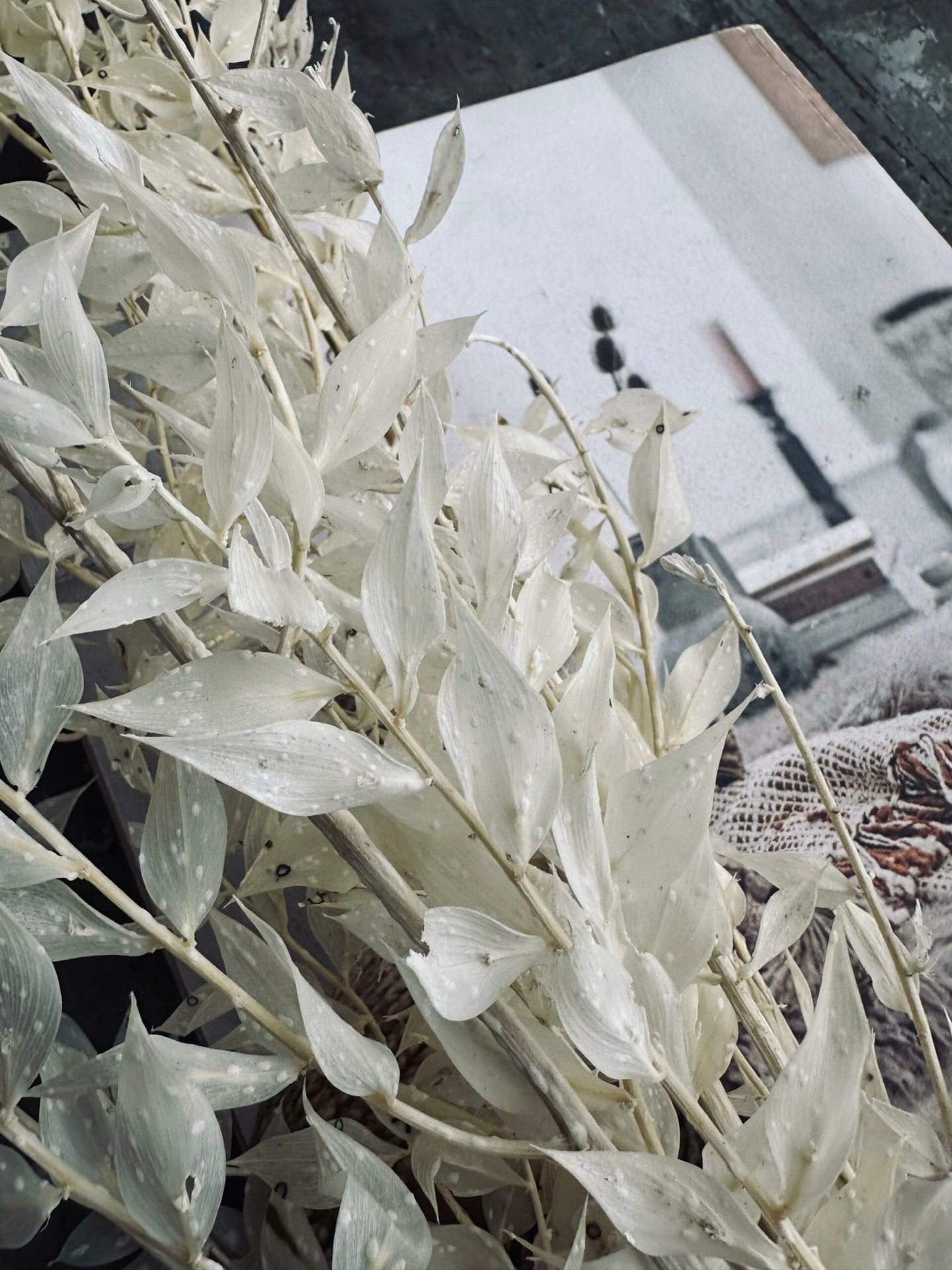 Tørret blomster – White ROSSA - VIAMAJA.DK