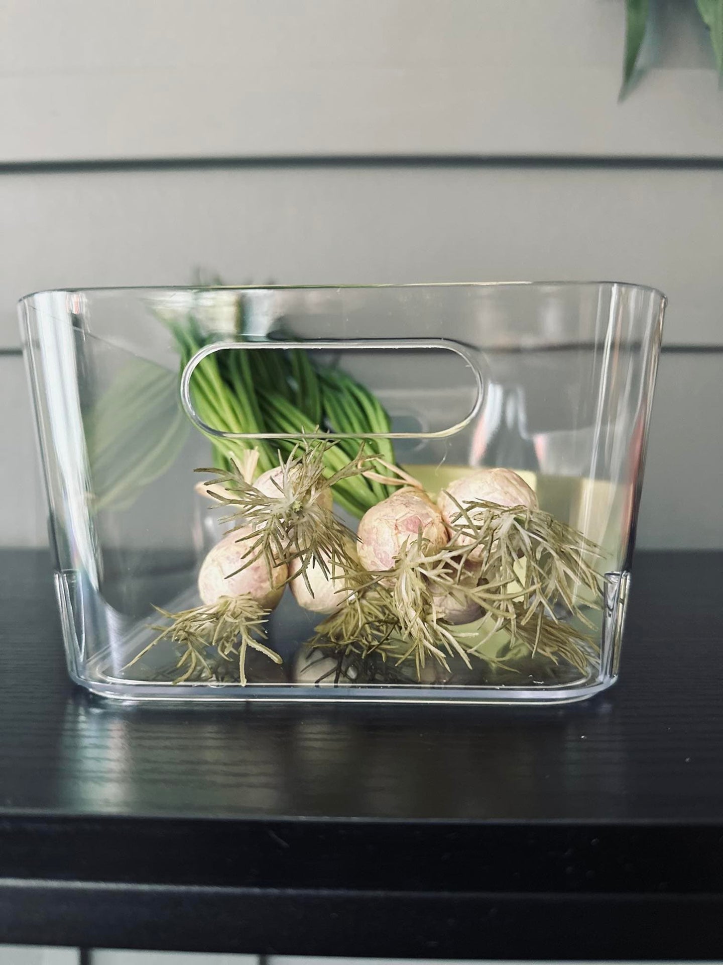 Transparent kasse til køleskab - VIAMAJA.DK