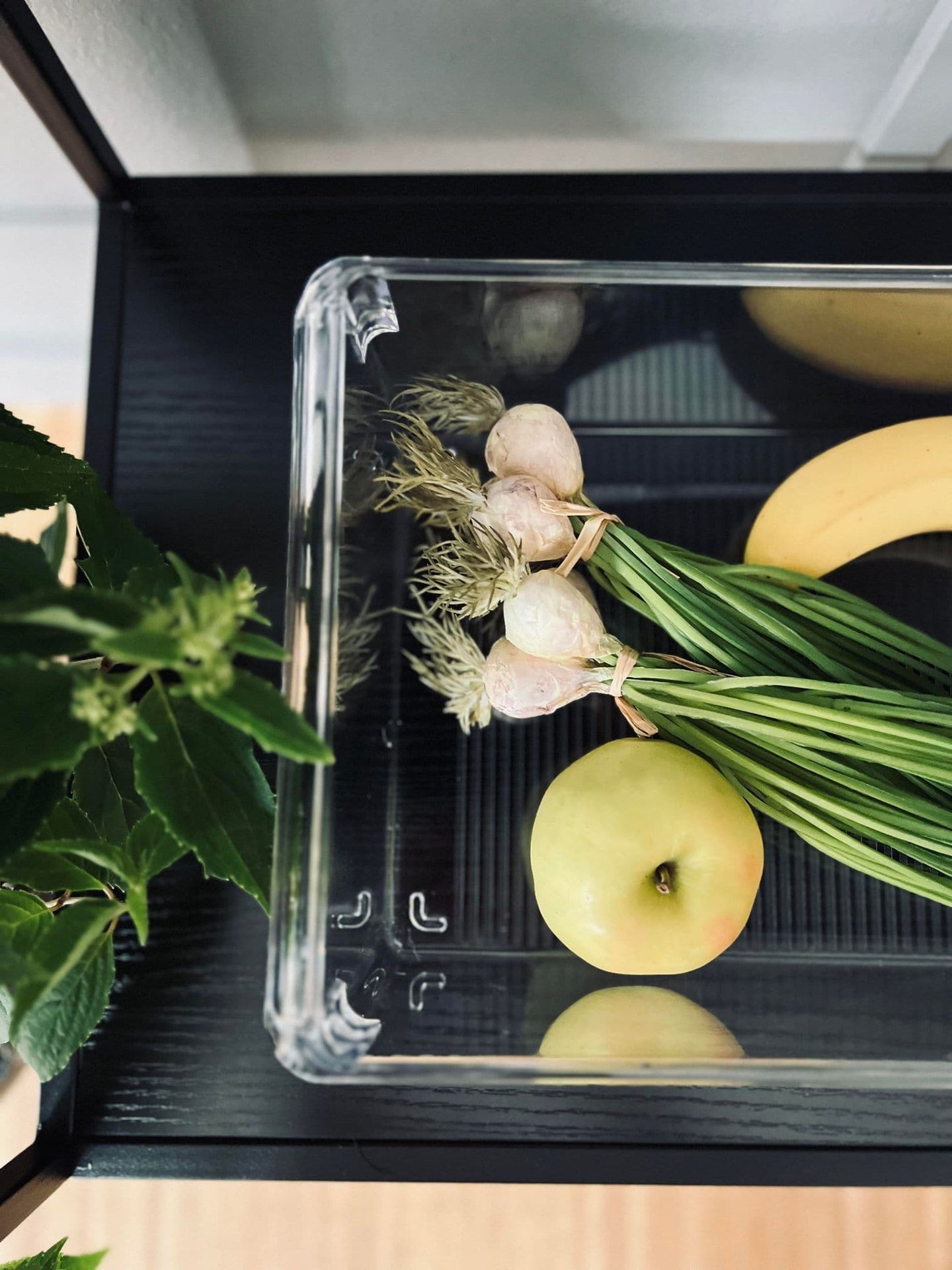 Transparent kasse til køleskab - VIAMAJA.DK