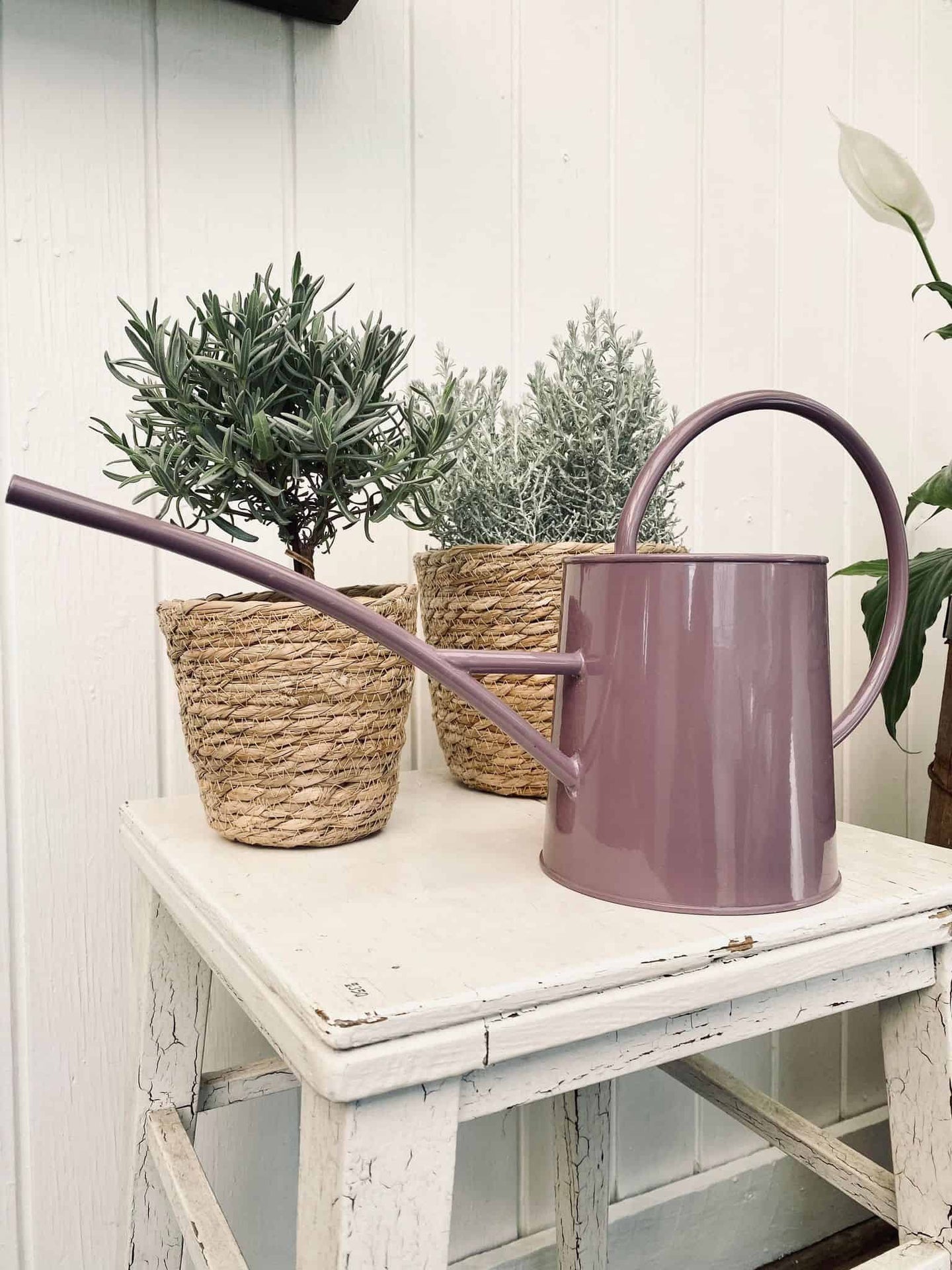 Vandkande – Lyng 1.5 Liter - VIAMAJA.DK