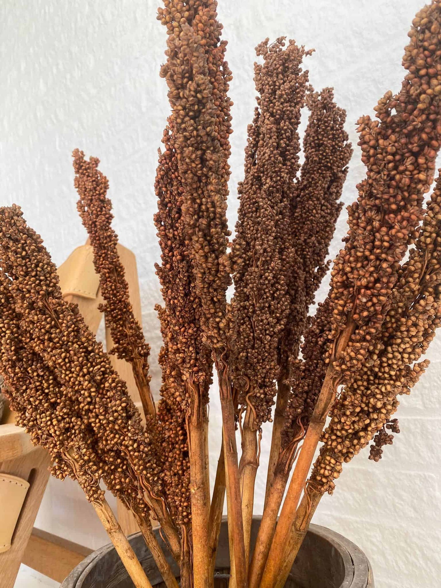 Wild Corn - Terracotta - 20stk - VIAMAJA.DK