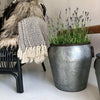 Zinkhink för blommor eller förvaring - Stor